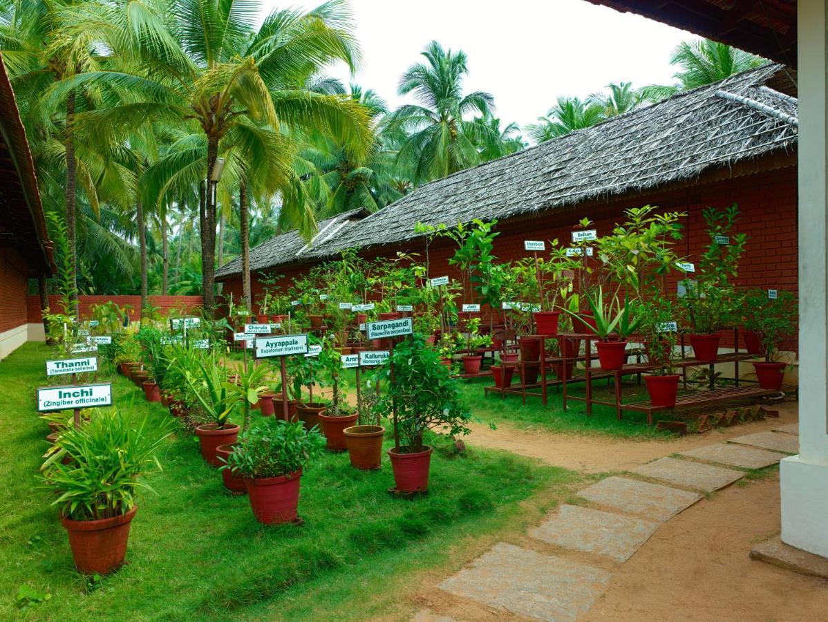 The Nattika Beach Resort Thrissur ภายนอก รูปภาพ